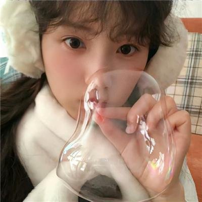 网中的太阳